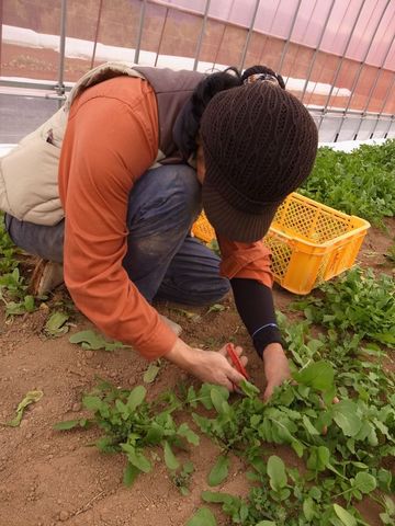 20130207_1.jpg
